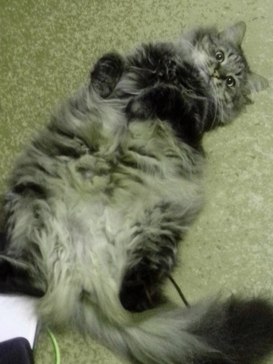 MUKVC's tweet image. Спочивай з миром, Друже!
Вибачай якщо щось не так.