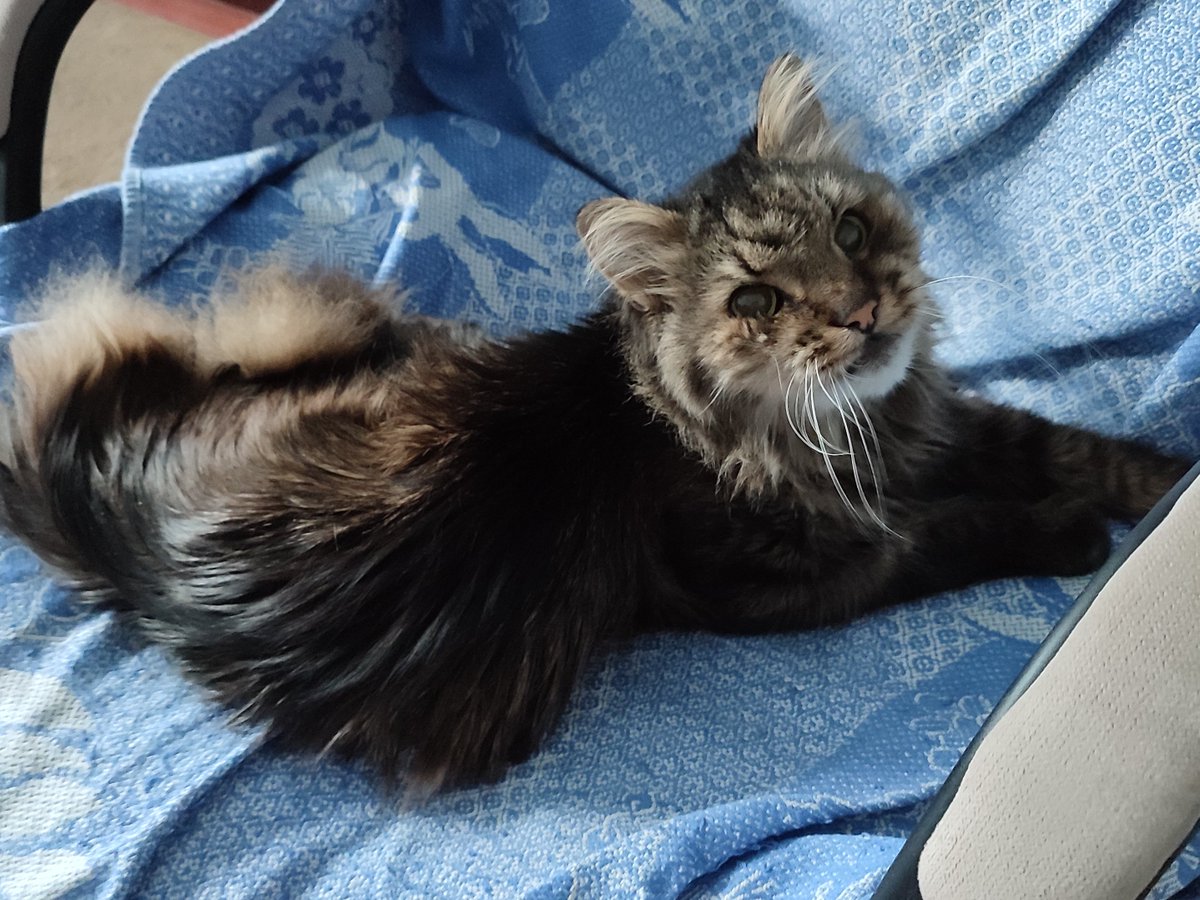 MUKVC's tweet image. Спочивай з миром, Друже!
Вибачай якщо щось не так.