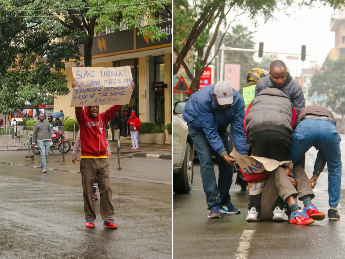 Protestor with placard arrested by police in Nairobi