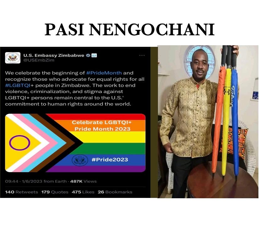 Charlene Shumba tweet media