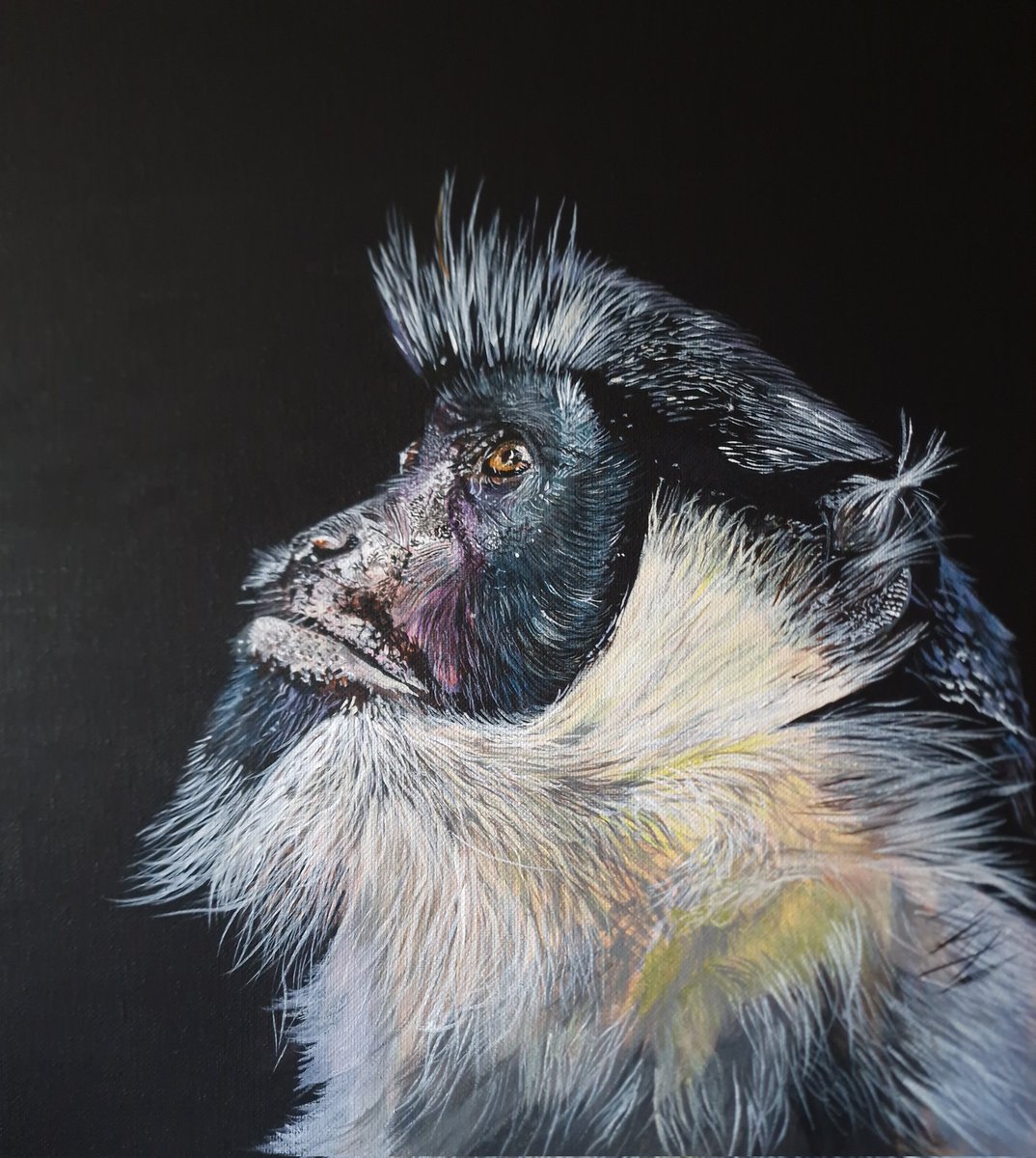 Work in progress, acrylics on canvas 40x40cm,wish you all beautiful weekend!
#acrylics #animalpainting #animalartwork #canvasart #monkeylover #wildlifeartwork #wildlifepainting #artistontwitter