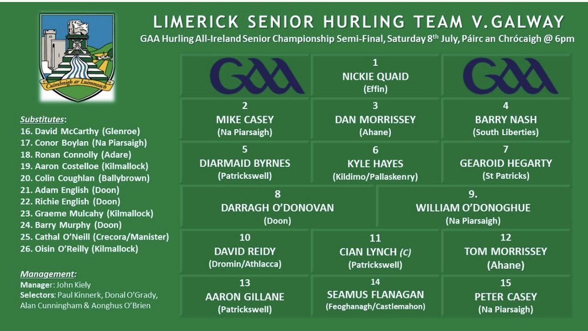 Limerick GAA on Twitter "Limerick Senior Hurling Team and Match Panel