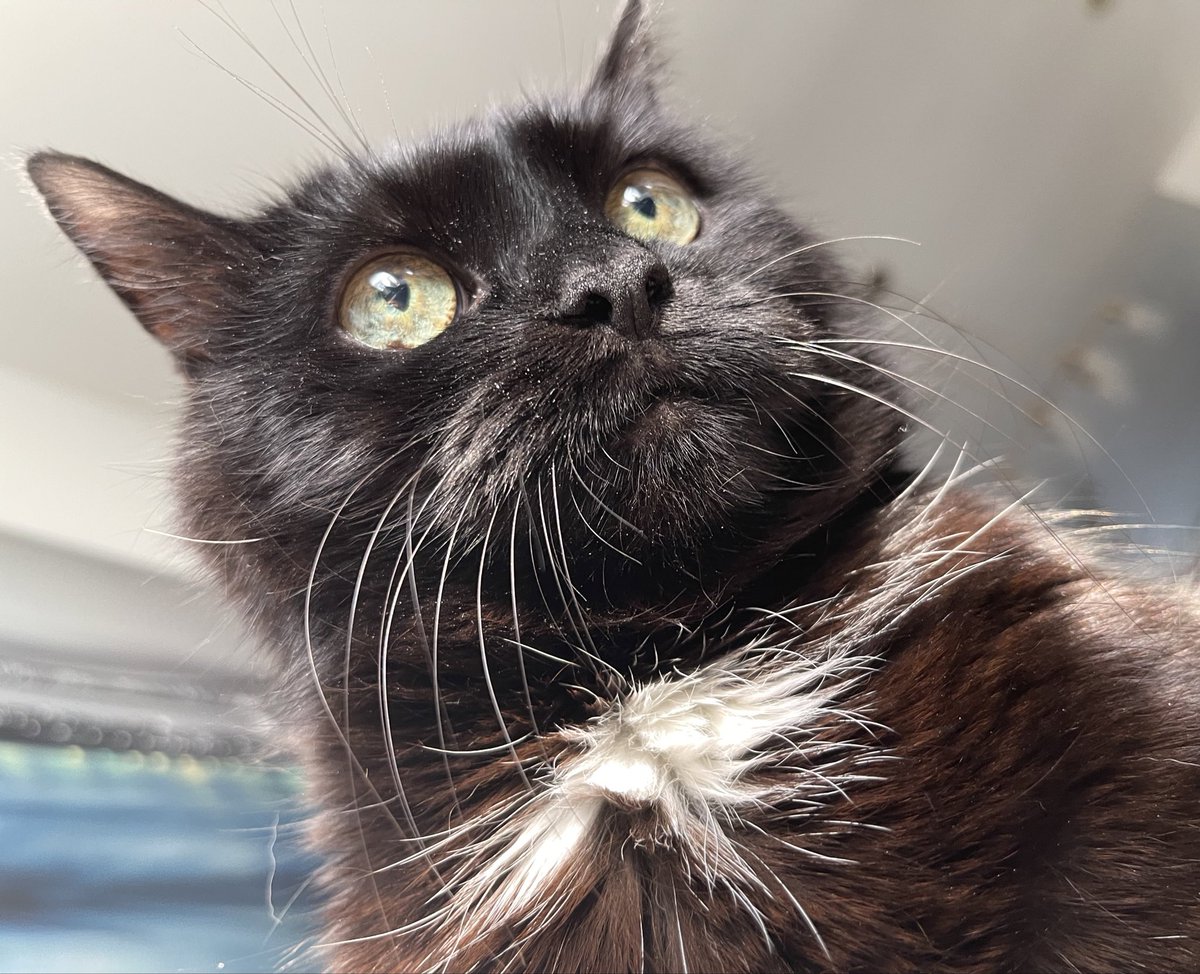 enigma.⠀  this  big  chunk