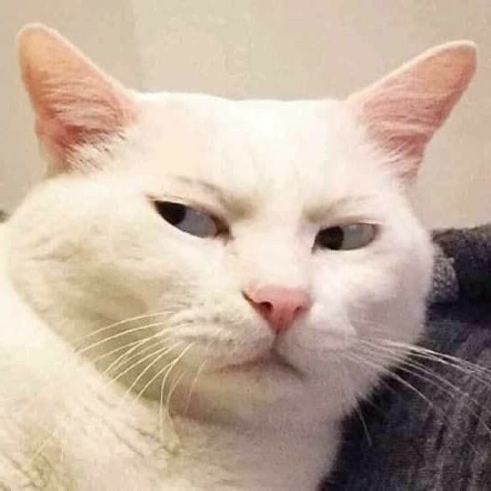 side eye

#G22ALFEA <a href="/zuluetAlfea/">G22 Alfea</a>