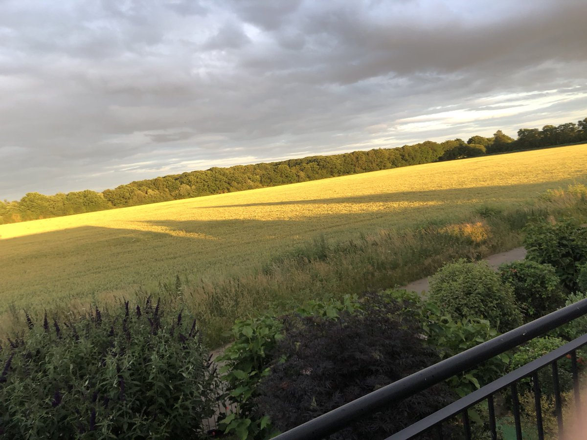 Lincoln_Retreat's tweet photo. Summer evening Lodge balcony
beautiful and peaceful 🌅 panoramic sky before sunset
Hard to believe behind tree line is all shops
next ,tkmax etc 🏡🦌⭐️ #perfectlocation
#staycationuk #LincsConnect #couplesretreat
#singleholiday #natureholiday https://t.co/c5JzixHCJM