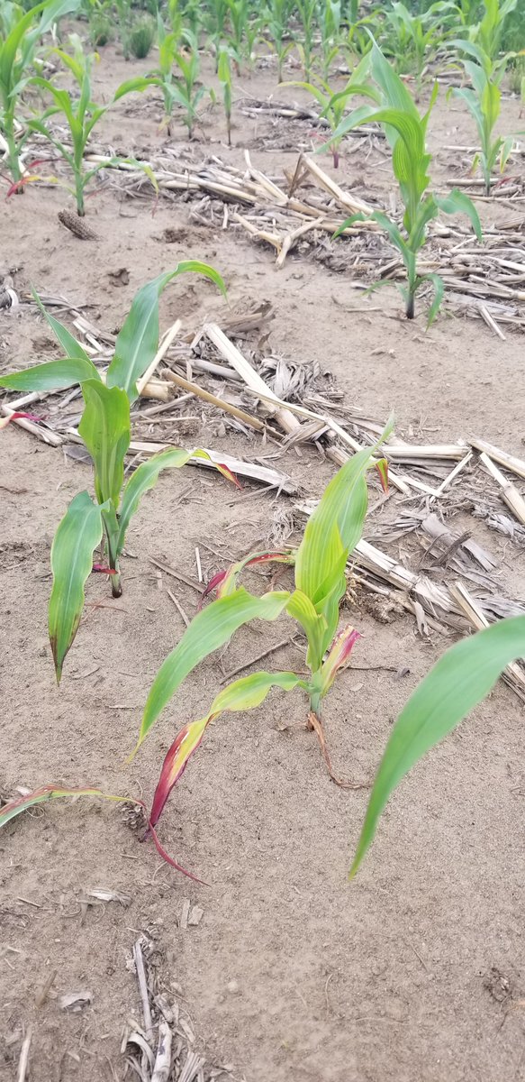 Bryan Cook tweet media