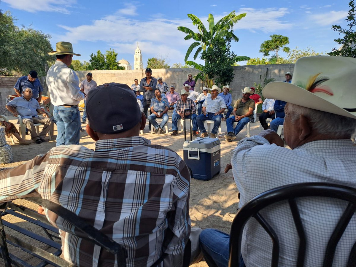 Micros y pequeños productores agropecuarios que dependen 100% de las lluvias. Pueblos enteros donde ves carros de trabajo con un tinaco, una paca y un perro arriba, yendo y viniendo a ordeñar, dar agua y alimento.
Somos pocos, pero valemos mucho!
#Sonora
#SoyDePueblo