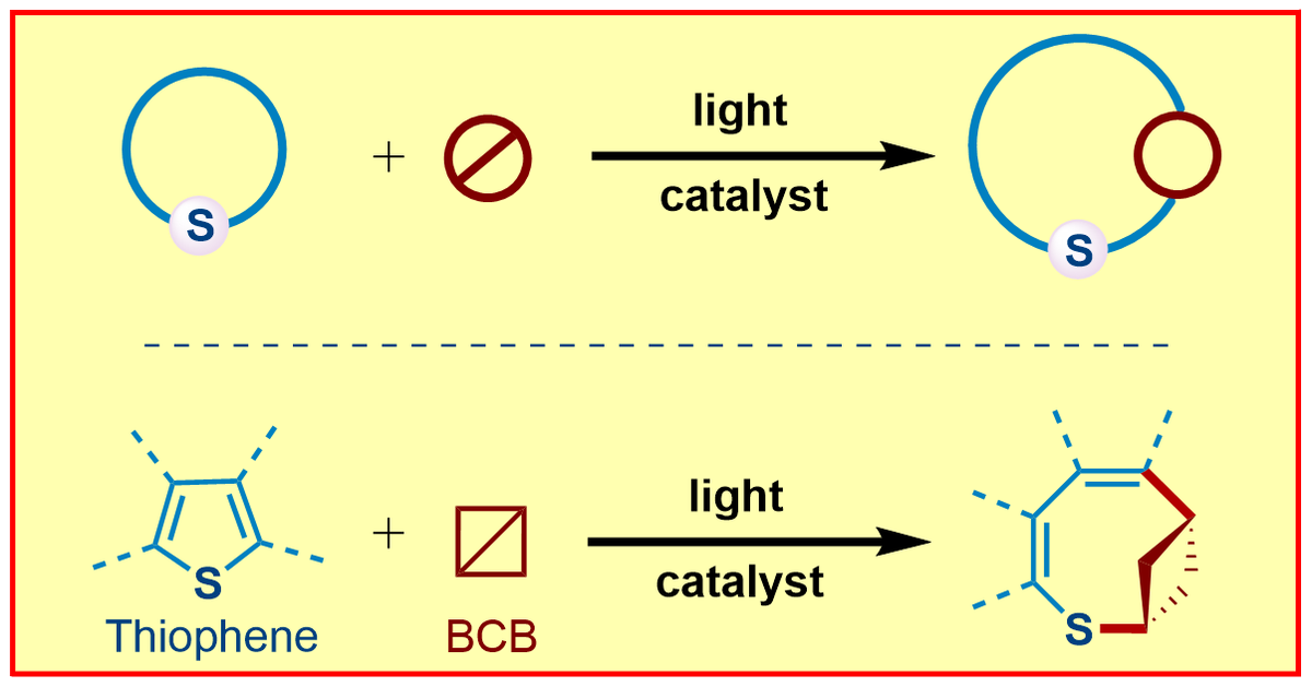 Our work describing Structural Editing of heterocyclic aromatic rings (thiophene) by insertion of cyclobutanes (from BCBs) is now out in <a href="/ScienceMagazine/">Science Magazine</a> 
Wild!🙃
 Check it out: science.org/doi/10.1126/sc…
Congrats to <a href="/houk1000/">Ken Houk</a> from <a href="/uclachem/">UCLA Chem & Biochem</a> and the <a href="/GloriusGroup/">Glorius Group</a> from @WWU_Muenster