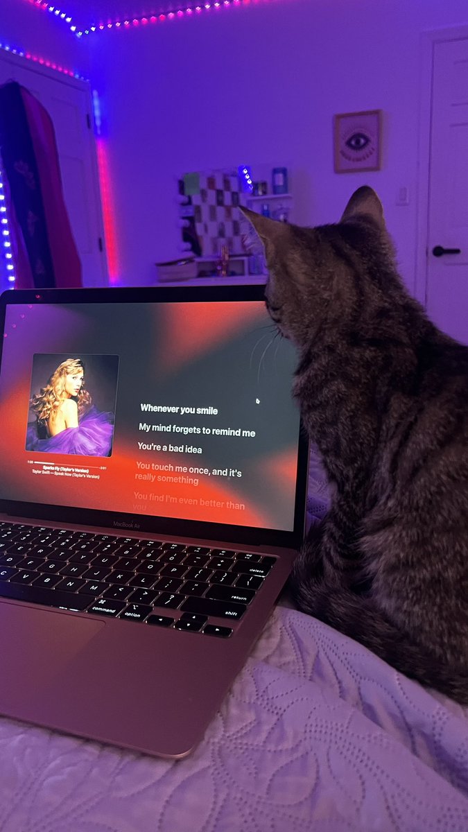 kendal1333's tweet photo. @taylornation13 AUGUST SAYS STREAM SPEAK NOW TV RIGHT NOW!!! #SpeakNowTaylorsVersion https://t.co/t41TfcTEX4