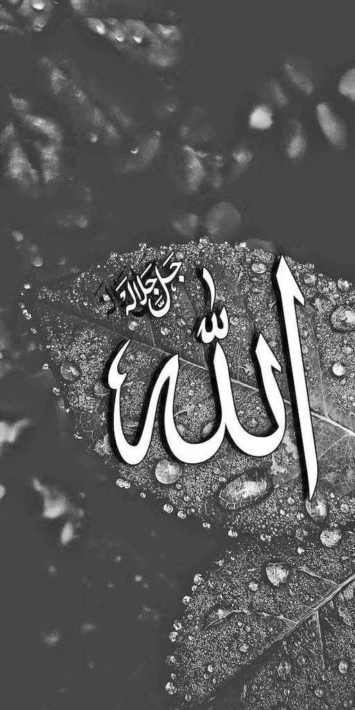 Lâ  tâhzen! İnnallâhe  meanâ"
Üzülme!  Şüphesiz Allâh bizimledir…
                    Tövbe/40