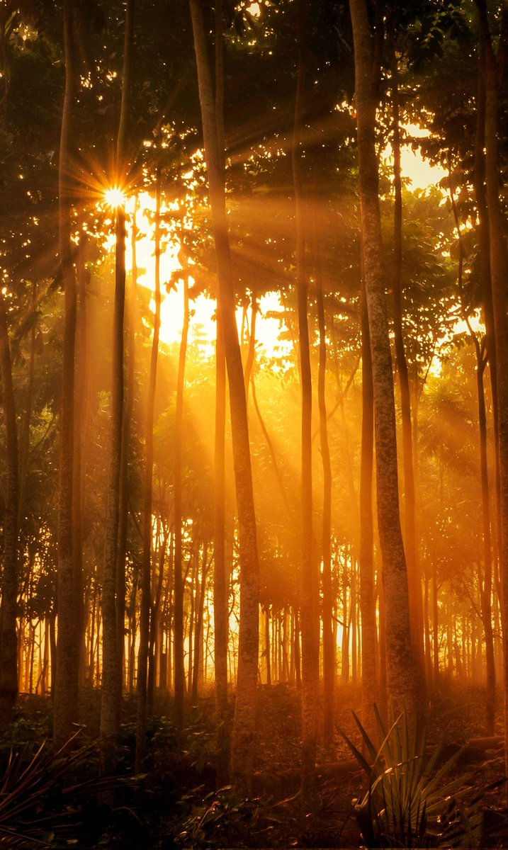 GM GM from the land of God light 😇