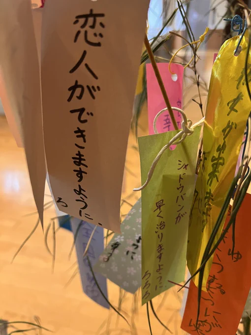 🙏🎋 