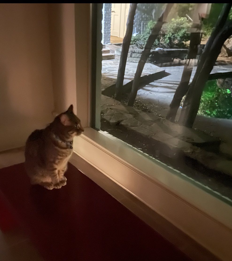 ClariceFox4's tweet photo. Stage 6: This is the first night event. Competitors must select a platform and stay there for hours resisting a nap. Sleeping is instant disqualification. It’s about stamina and focus #conquerthecourse #tourdecouch2023 #golegacy https://t.co/QkAROqFvz0