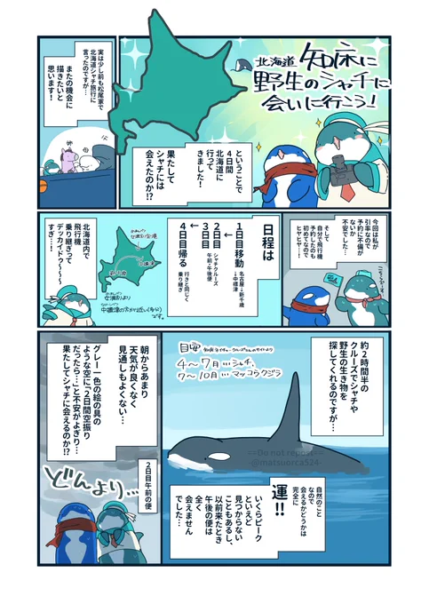 知床に野生のシャチに会いに行こう!北海道レポ漫画(1/3) 