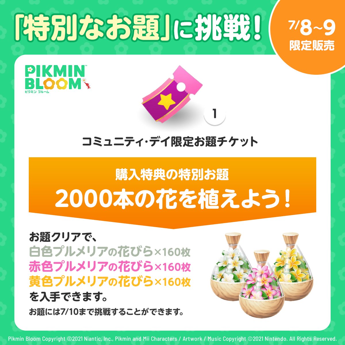コミュニティデイ 限定発売！ ～*～*～*～*～*～*～*～*～*～🌼 🎫特別
