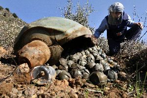 smolny7's tweet photo. Estados Unidos ya regó Vietnam, Laos y Camboya con bombas de racino que, muchos años después del final de la guerra, siguen explotando y matando a civiles https://t.co/tzg1nSQtBD