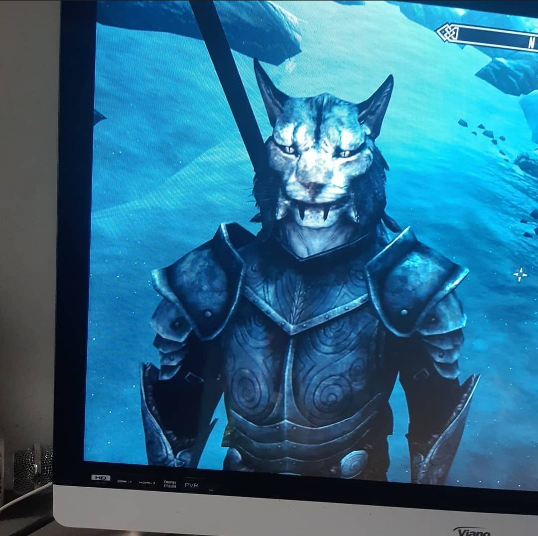 LoganArden2's tweet photo. @StormcloakGuard Vincent:No not all Khajiit's are thieves or smugglers some are warrior's like me https://t.co/HscOkG4zNf