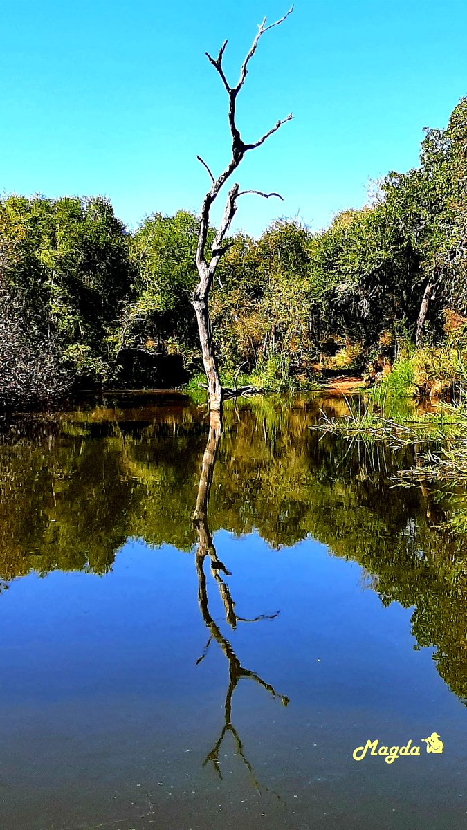 Elke asemteug wat ons neem, kom van God af. Hy gee dit heeltemal verniet vir ons! Die brood wat ons eet, word ook deur Hom voorsien. Hy seën ons met gawes wat ons kan gebruik om ons werk te doen en 'n inkomste te verdien. Genade en guns.
Goeiemôre, seënwense 🙏🦋