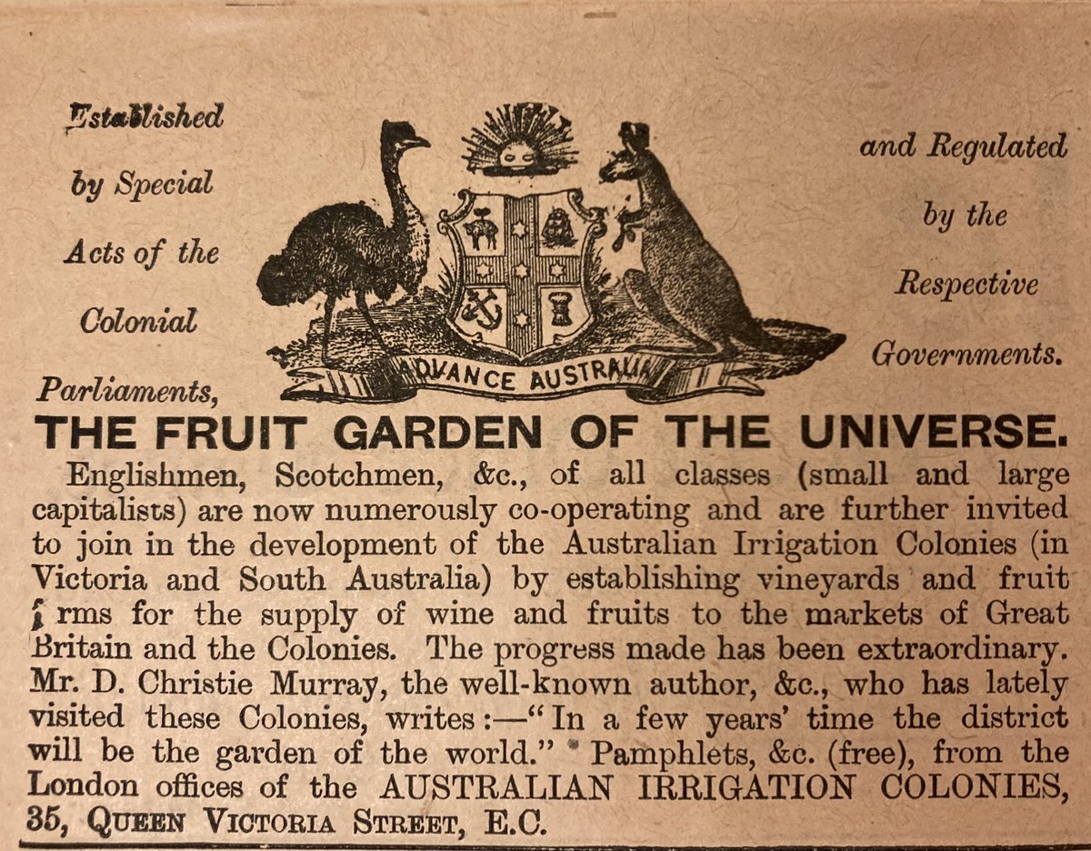 Vanessa Burns tweet media