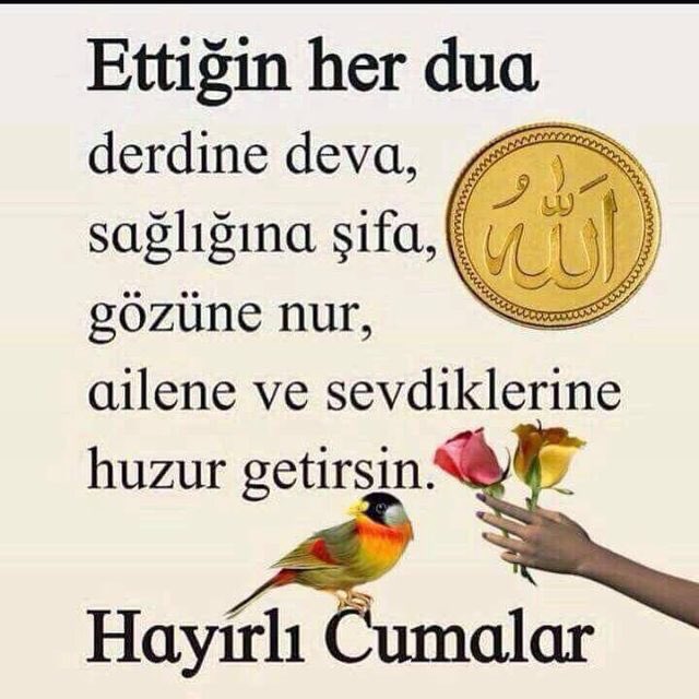 Kafer çiçek (@kafercicek) on Twitter photo 