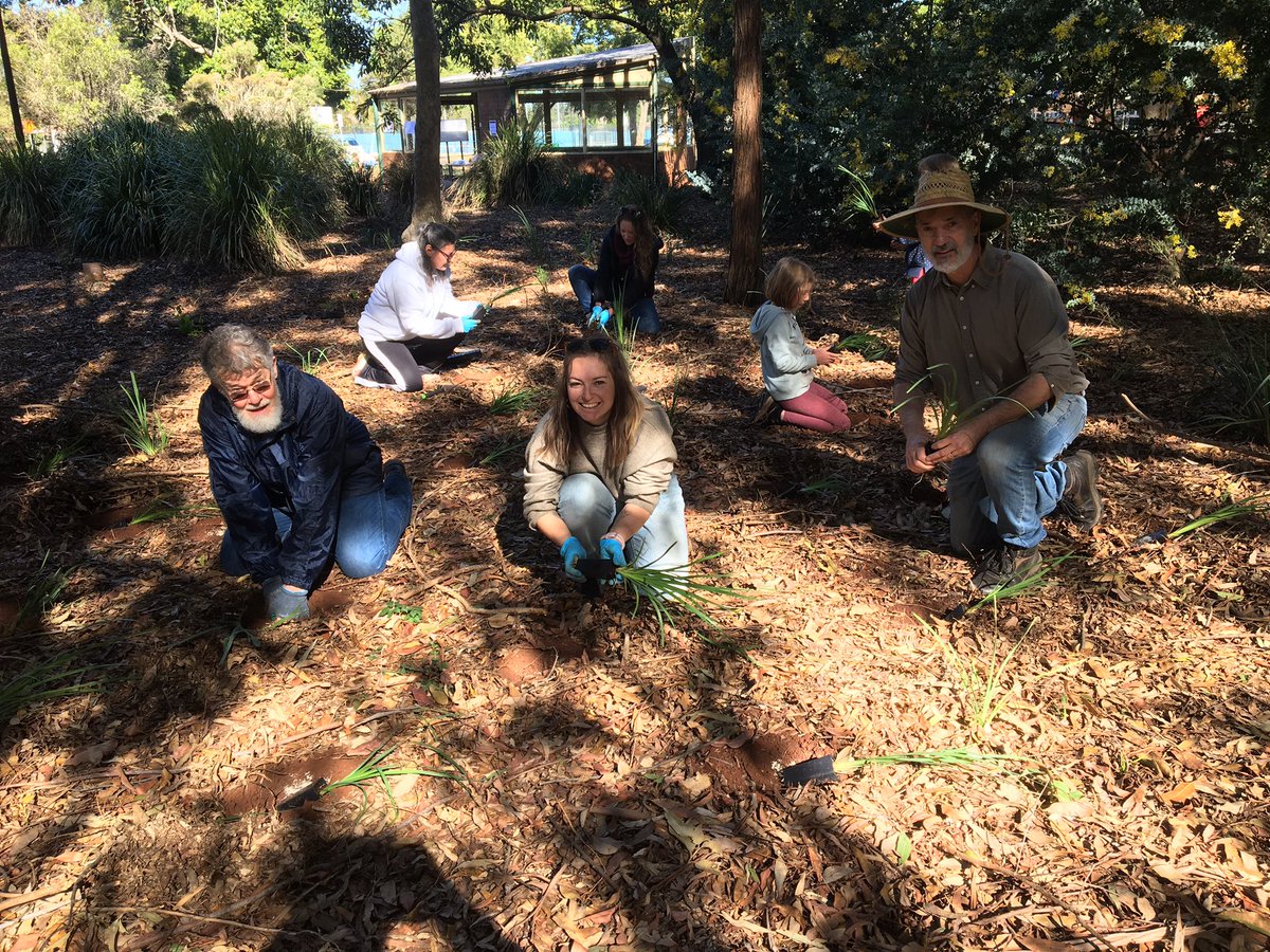Thanks to staff, students and families who helped out at the UniSQ native reserve planting day today. Will be great to watch the understorey grow!