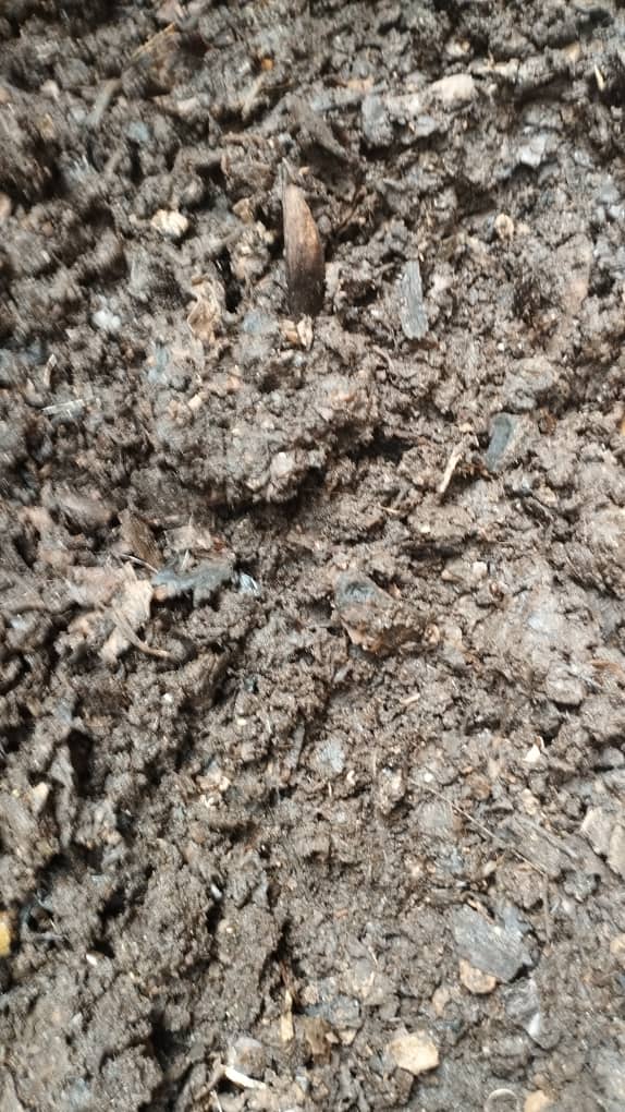 Waste are not waste until they are wasted!!
Wari uzi ko imyanda yo murugo ishobora kuvamo ifumbire nziza y'umwimerere?
#goorganic #organic <a href="/ifoamorganics/">IFOAM - Organics International 🌱💚</a> <a href="/RwandaAgri/">Ministry of Agriculture & Animal Resources |Rwanda</a> <a href="/BiovisionAfrica/">Biovision Africa Trust</a> <a href="/RwandaAgriBoard/">Rwanda Agriculture & Animal Resources Devpt Board</a> @