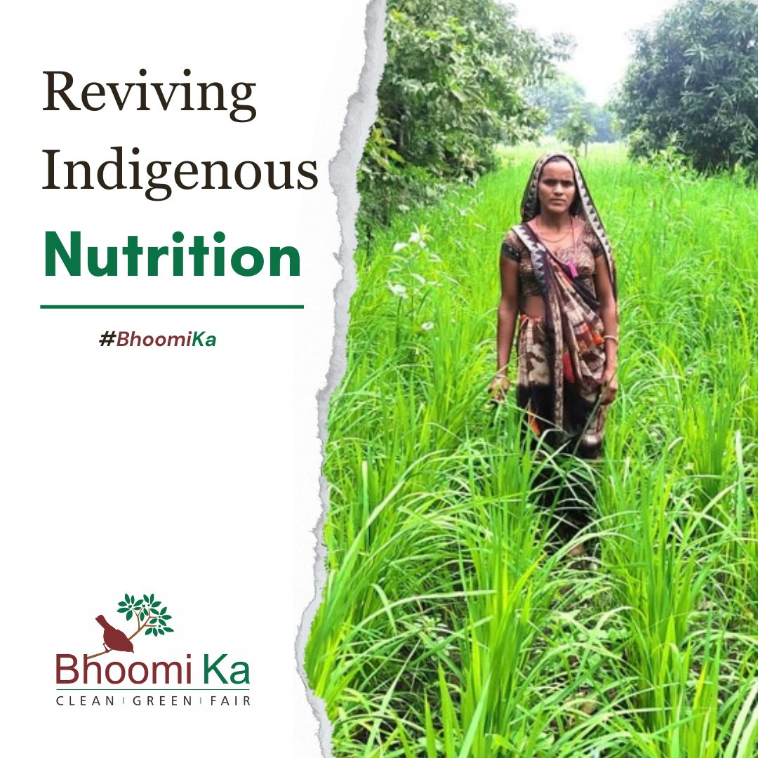 BhoomiKaEco's tweet photo. You will find it hard to believe !๐ฏ
Once tribal people were physically strongest amongst all the other Indian communities but now they are becoming victims of malnutrition.
Why & How???
Read their story: https://t.co/2hgElHE0dg
#bhoomika #cleangreenfair #naturalfarming #farmers https://t.co/3wa9y61Rlb