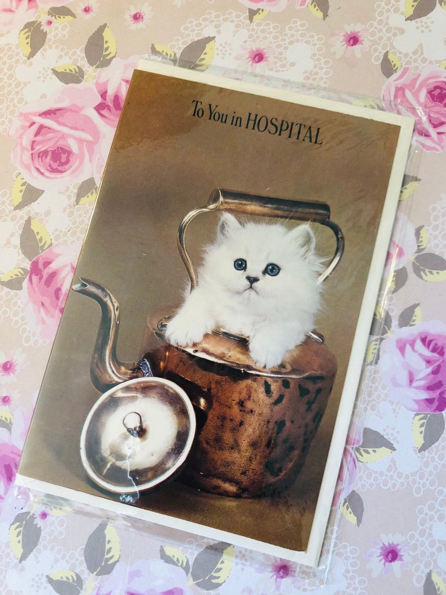 WatsonsVintage's tweet photo. ONLY TWO LEFT! Just £3.50 each for these PURRFECT ‘To You in HOSPITAL’ retro circa 1960s Fluffy White Persian Kitten Photo Cards. https://t.co/6SA0Pt1DzQ #CatLover #VintageCard #CardToKeep #CatsOfTwitter #CuteCard #GetWellCard https://t.co/5TW3pabPfu