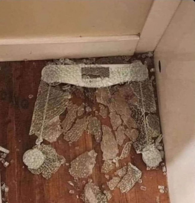 Just weighed myself before my morning poo