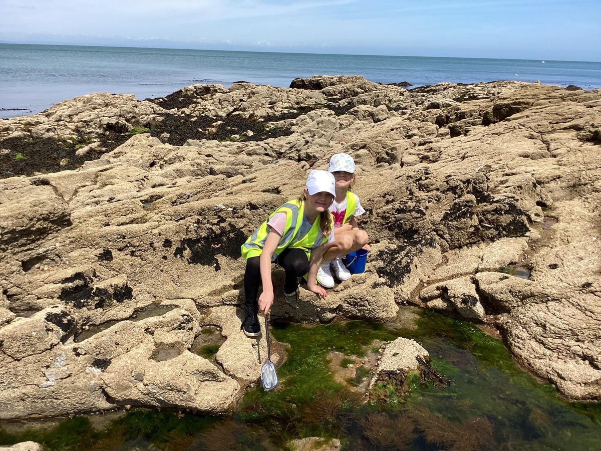 smc_brixham's tweet photo. What a fabulous day Dolphin class have had! Local history with Brixham Museum, our fishing heritage, historical landmark trail, fishing industry survey &amp; finally exploring the rock pools for our science learning! https://t.co/BhKa9yl6R2