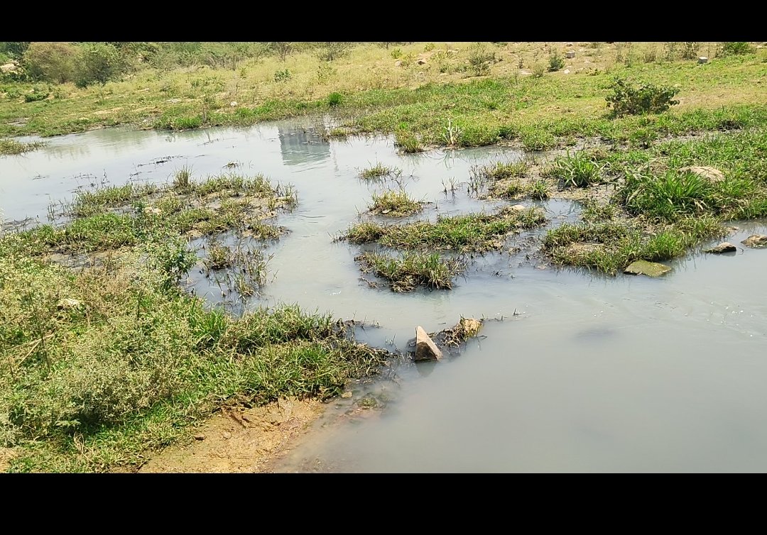 Goutham00513403's tweet image. @CollectorRRD @KTRBRS @madhulikaS2 @KTRoffice @ManikondaMc @mcnarsingi @Prateek_JainIAS @TelanganaCMO 

Save Mushkin pound located beside Hallmark Vicinia and Myhome Avatar.. It&apos;s a very pure lake .. now it&apos;s going to danger zone Drians water has started mixing and encroachment