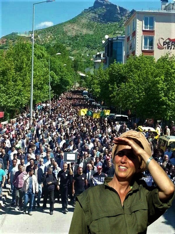 Tanrıça edalı
Verili olana baştan sona inat
Destansı bir hayat... 

Kızıl saçlarında 
Kıvrım kıvrım DİRENİŞ
Yanaklarında 
devrimin al busesi
Endamına oturmuş dağ duruşu
.........Bircan....