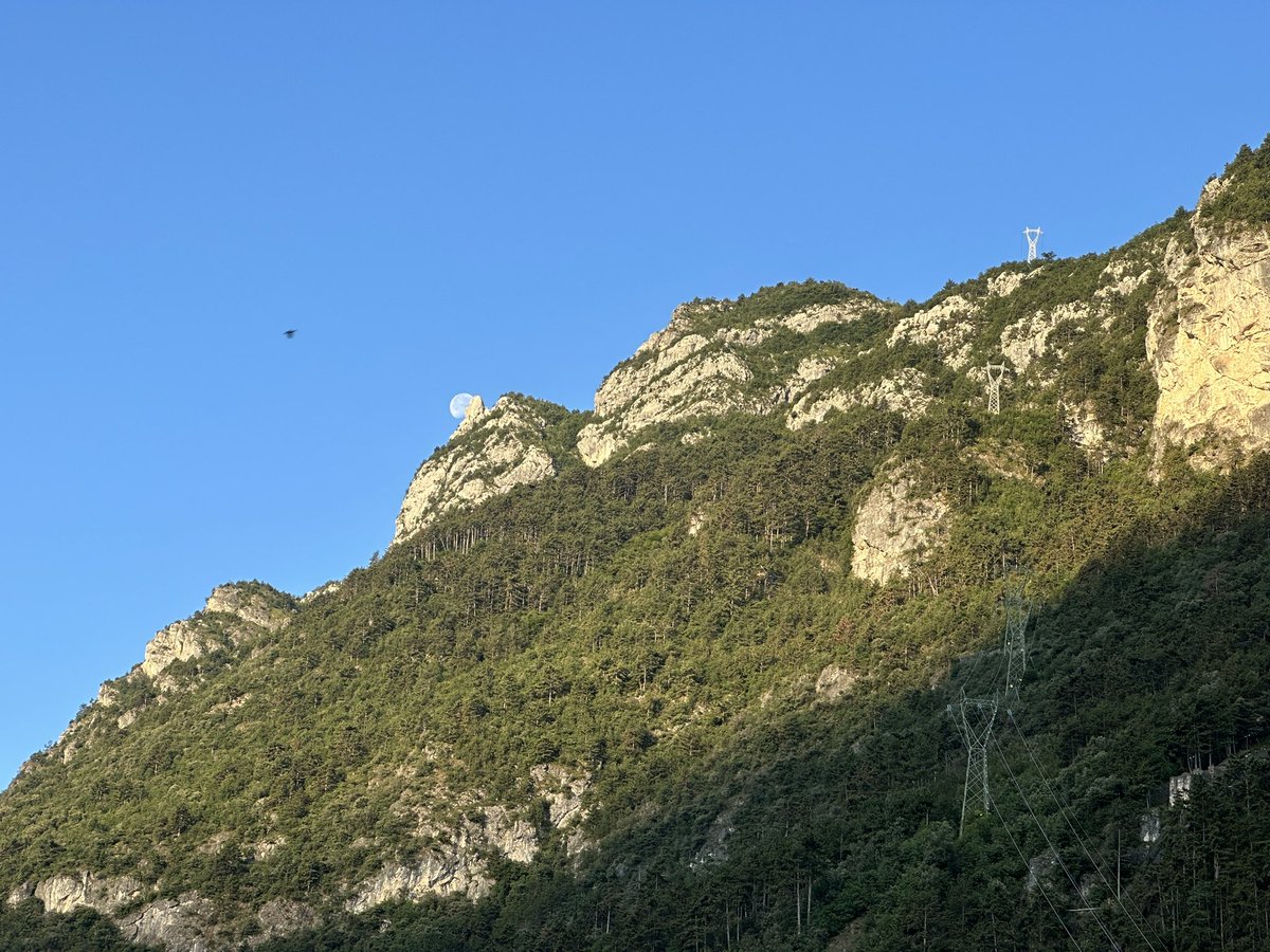guibozetti's tweet photo. Started the day with a quick run, and  soon #Fielding is giving a keynote in the last day of #ICFS2023 ! What a week it has been! https://t.co/RlbCmV4PjX