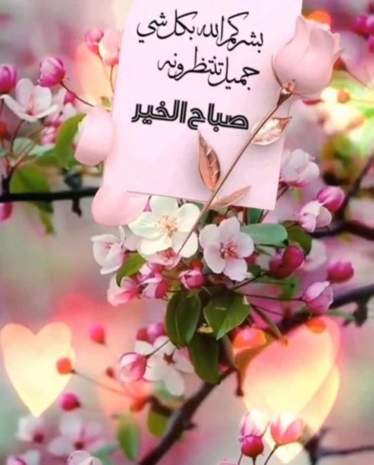 maaj1998's tweet photo. https://t.co/inLyLJvop9