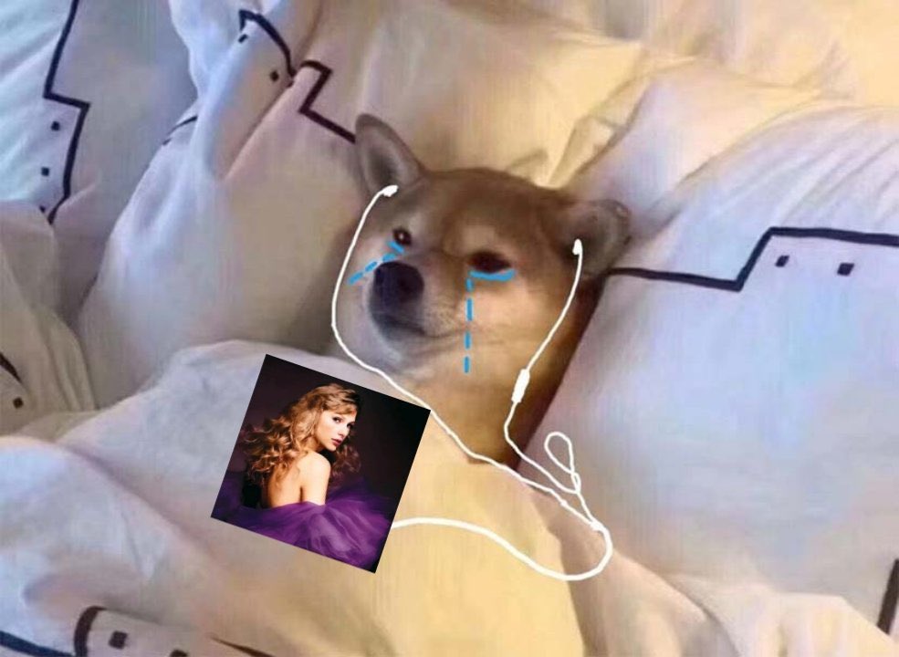 mohyeri's tweet photo. taylor debe de estar durmiendo y nosotros acá llorando con speak now taylor’s version de fondo

#SpeakNowTaylorsVersion https://t.co/gthREEk2oh