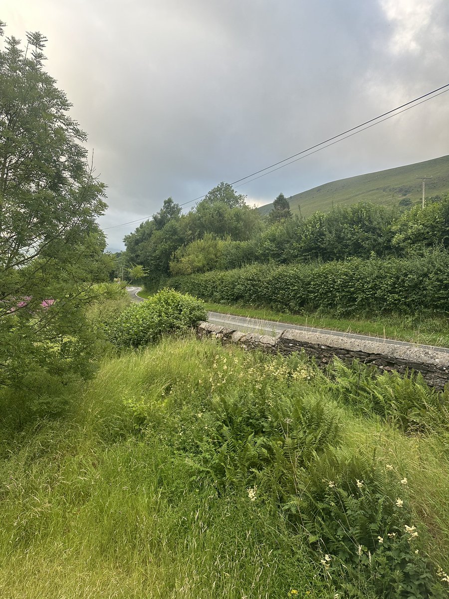 Hatcham College DofE (@hahc_dofe) on Twitter photo Bore da from Pengenfford in Bannau Brycheiniog. Day 1 of the Silver <a href="/DofE/">The Duke of Edinburgh’s Award</a> assessment. <a href="/HabsHatcham/">Haberdashers' Hatcham College</a> #HatchamAdvantage <a href="/DofELondon/">DofE London</a> Bore da from Pengenfford in Bannau Brycheiniog. Day 1 of the Silver <a href="/DofE/">The Duke of Edinburgh’s Award</a> assessment. <a href="/HabsHatcham/">Haberdashers' Hatcham College</a> #HatchamAdvantage <a href="/DofELondon/">DofE London</a>
