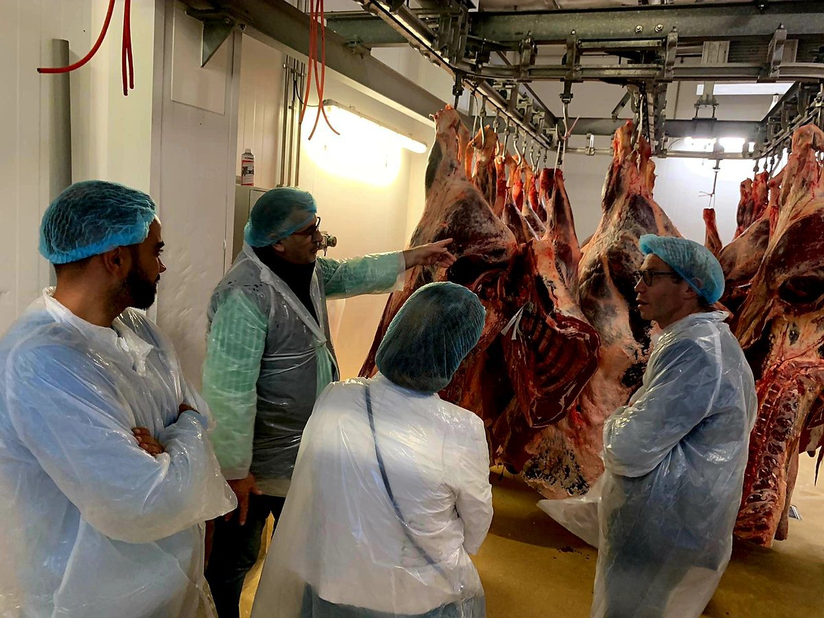 marques_fx33's tweet image. Une visite marquante de l'abattoir de Bazas ce matin lors du séminaire des membres du conseil d'administration Interbev Nouvelle Aquitaine. Une occasion essentielle de mieux comprendre les enjeux de l'industrie de la viande et de promouvoir des pratiques respectueuses. #Interbev