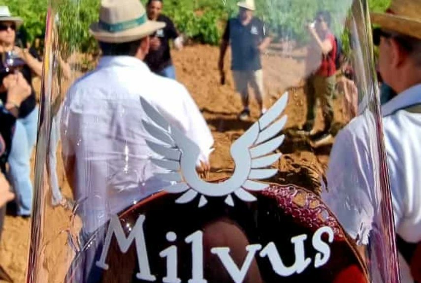 labrujaviri's tweet photo. Magnífica visita a #BodegasMILVUS en @DORibera donde hemos sido testigos de la integración del paisaje que refleja cada uno de sus vinos. https://t.co/Eh9QSkPB1e