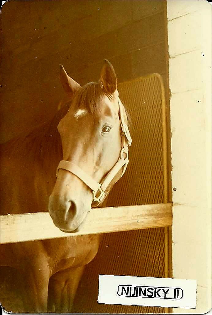 HORSERACING1002's tweet photo. NIJINSKY II ๐จ๐ฆ1967
(NORTHERN DANCER FLAMING PAGE BY BULL PAGE)#NijinskyII
at @claibornefarm
๐ท horseracing100 https://t.co/i1fk9RN2TF