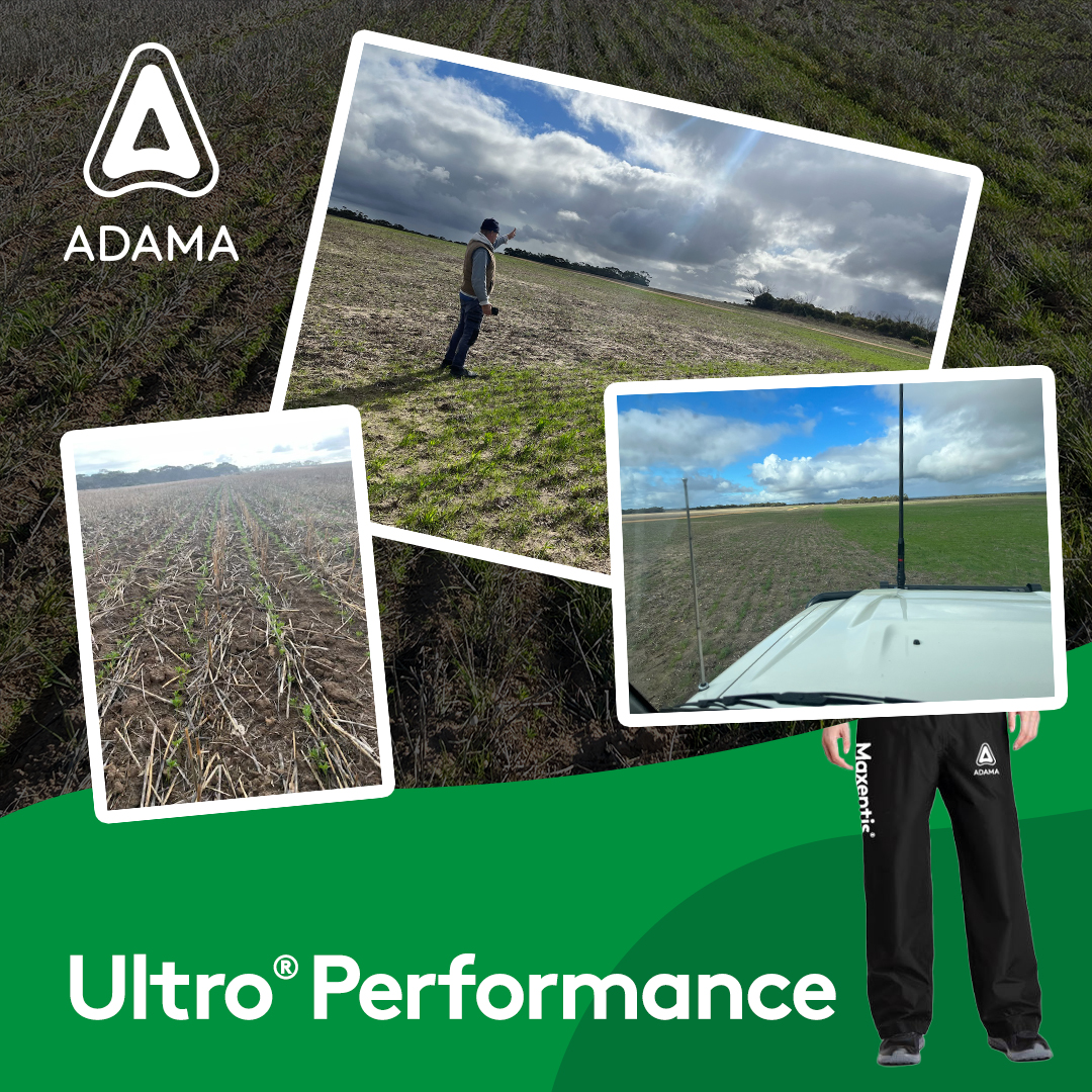 ADAMA Australia tweet media