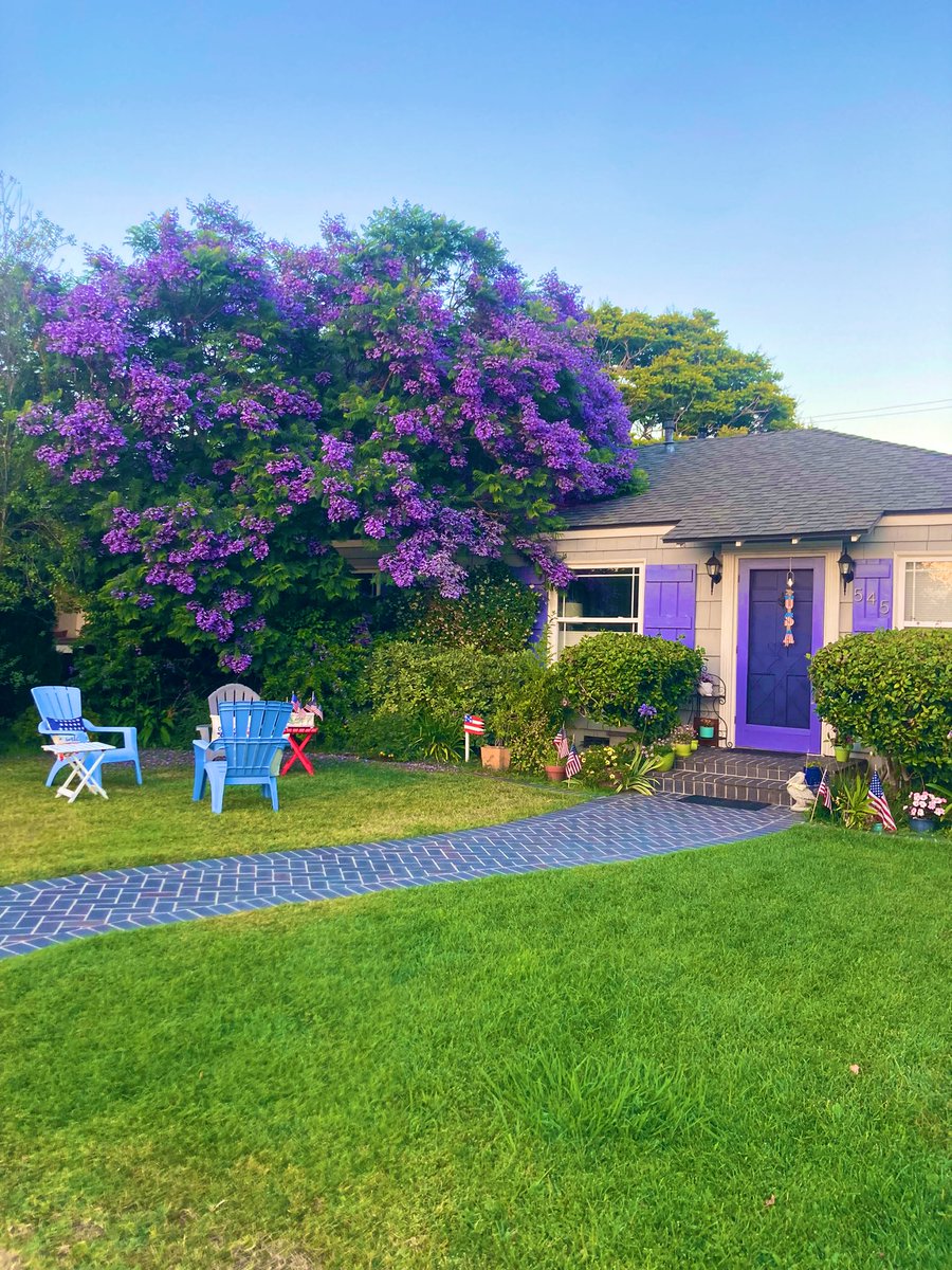 Summer evening walks in Coronado.