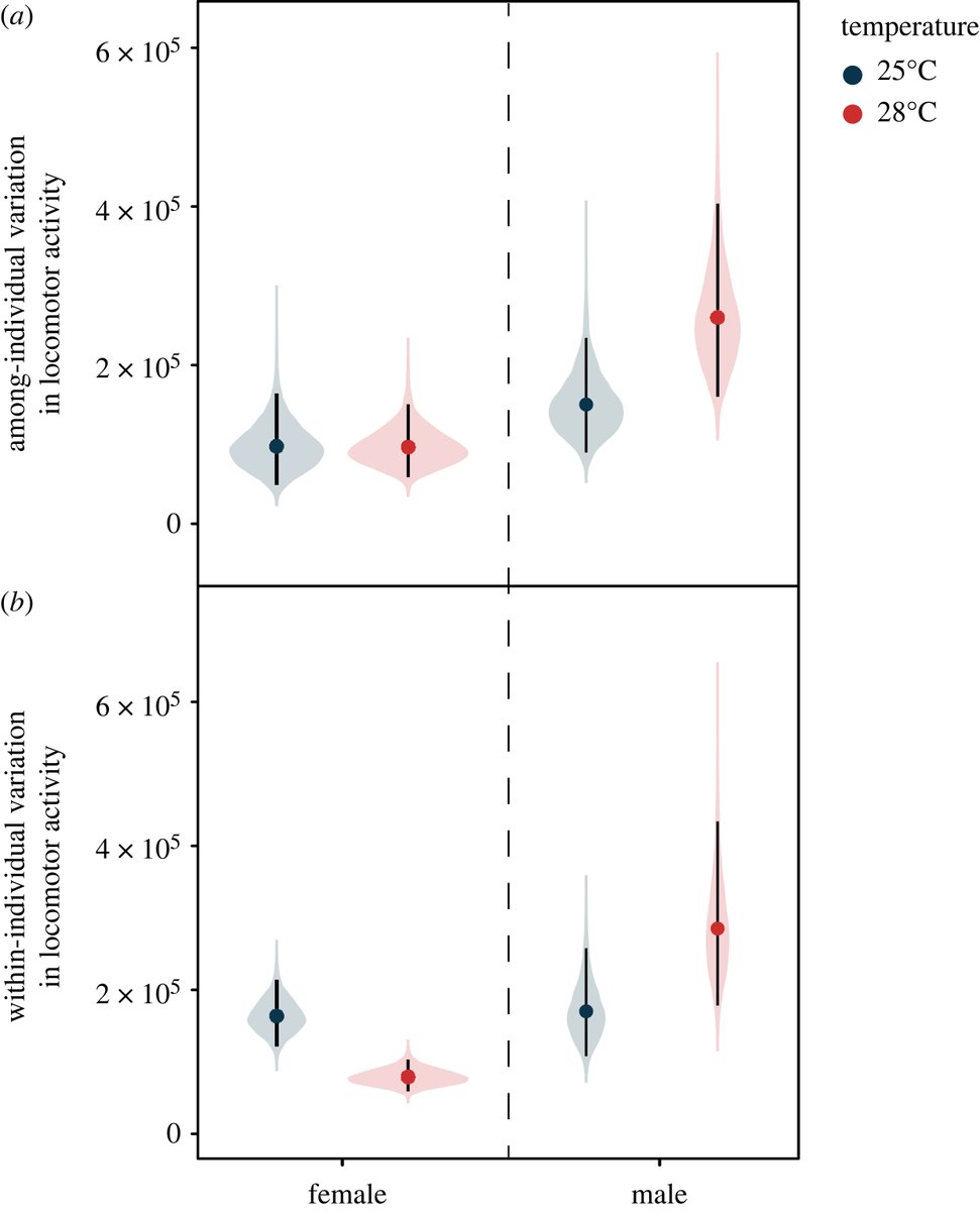 RSocPublishing's tweet image. #Temperature change exerts sex-specific effects on #behavioural variation #ProcB #OpenAccess ow.ly/yYzM50P4PRV #Physiology @BBM_Wong  @JackAndrewBrand @DK_Dowling
