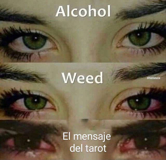 desde la frase empezamos así
