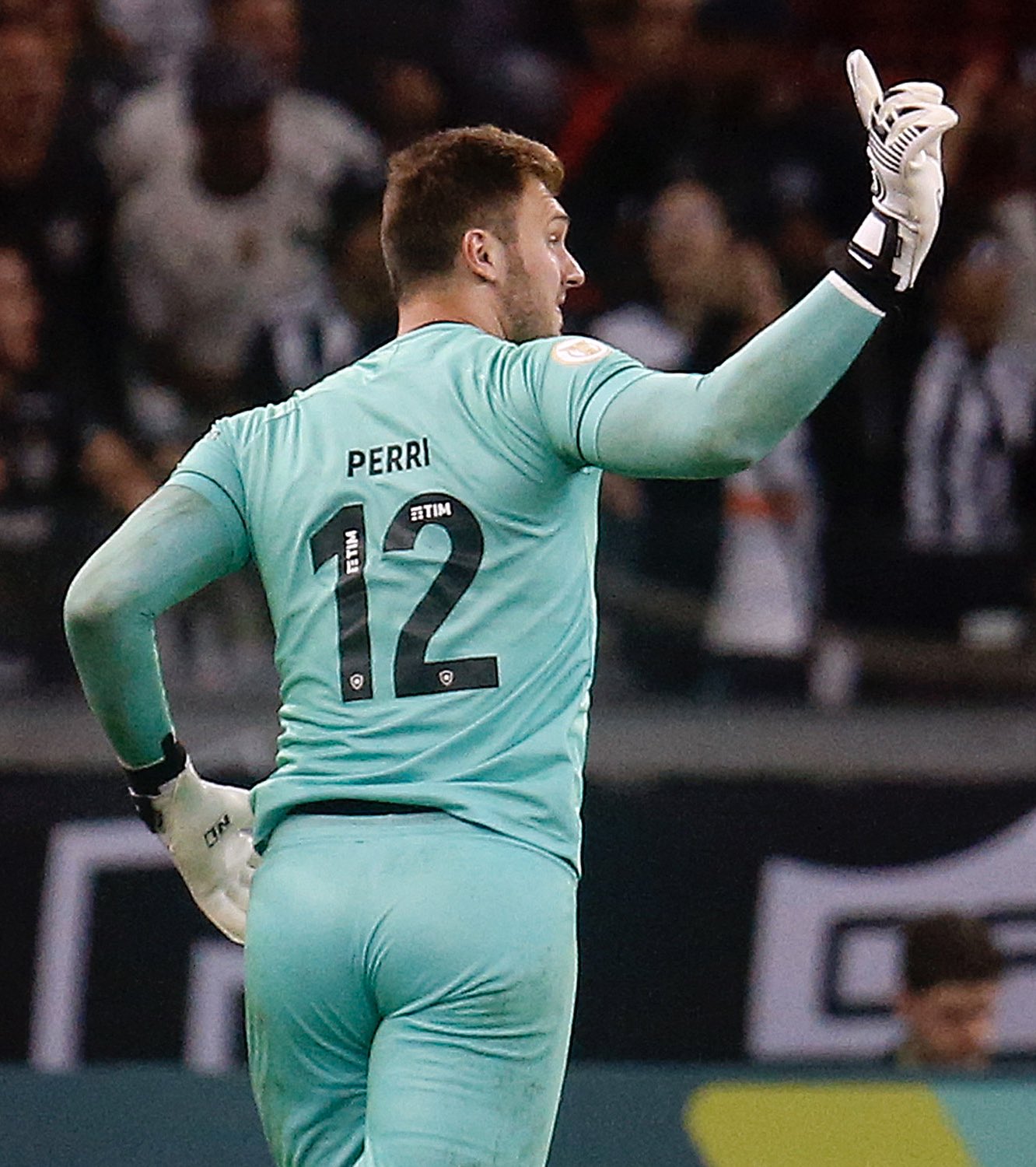 POR ISSO LUCAS PERRI DO BOTAFOGO É O MELHOR GOLEIRO DO BRASIL! 