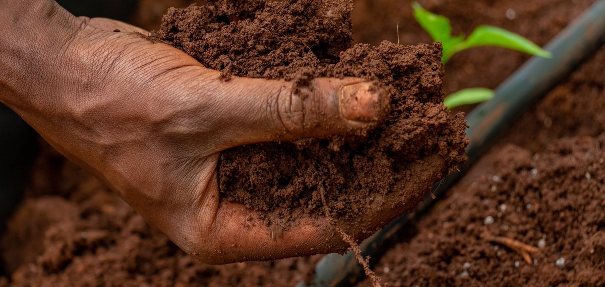 FD TV Media tweet media