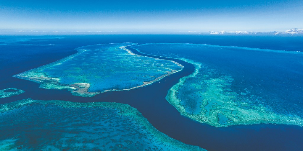 Bottom trawling is bullbozing our ocean floor, undermining small-scale fisheries and deepening the climate crisis.

Sign the petition to end bottom trawling at: pat.ag/OceansHub