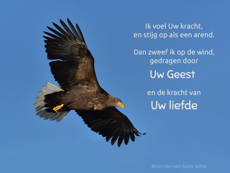 Woorden Van Gods Liefde On Twitter Ps 34 9 62 2 6 8 9 Jes 40 29 31 woorden-van-gods-liefde-on-twitter-ps-34-9-62-2-6-8-9-jes-40-29-31