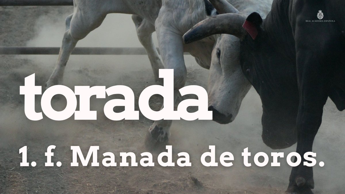 RAEinforma tweet picture