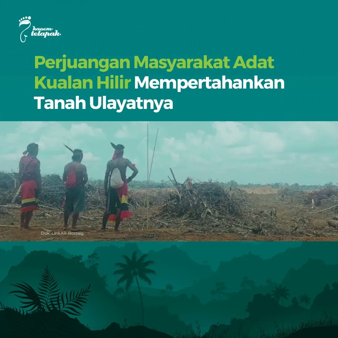 Berdasarkan organisasi masyarakat sipil LinkAR-Borneo @linkarborneo, perkebunan kayu skala besar PT Mayawana Persada diduga melanggar komitmen Free, Prior, and Informed Consent (FPIC) dan komitmen No-deforestation, No-peat and No-exploitation (NDPE) dalam menjalankan usahanya.