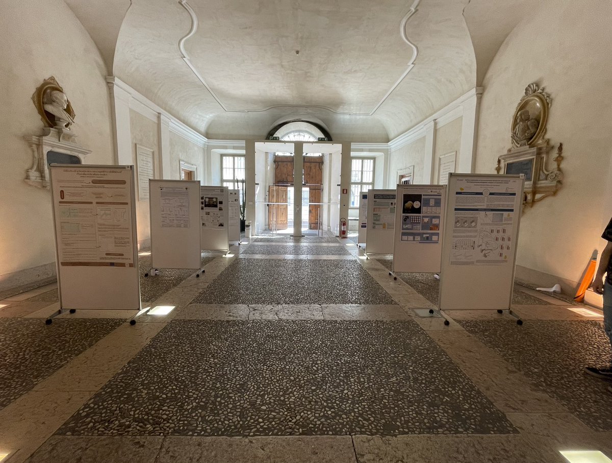 CIMeC UniTrento (@cimec_unitrento) on Twitter photo The morning poster session at CogEvo is set – Let’s get evolutionary!
#CIMeCevents #CogEvo2023
<a href="/gVallortigara/">Giorgio Vallortigara</a> <a href="/beMaryB/">Maria Bortot</a> <a href="/ElisaFrasnelli/">Elisa Frasnelli</a> <a href="/ElenaLorenzi3/">Elena Lorenzi</a> <a href="/Matildede_/">Matilde Perrino</a> The morning poster session at CogEvo is set – Let’s get evolutionary!
#CIMeCevents #CogEvo2023
<a href="/gVallortigara/">Giorgio Vallortigara</a> <a href="/beMaryB/">Maria Bortot</a> <a href="/ElisaFrasnelli/">Elisa Frasnelli</a> <a href="/ElenaLorenzi3/">Elena Lorenzi</a> <a href="/Matildede_/">Matilde Perrino</a>